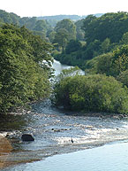 The Tyne at Chollerford